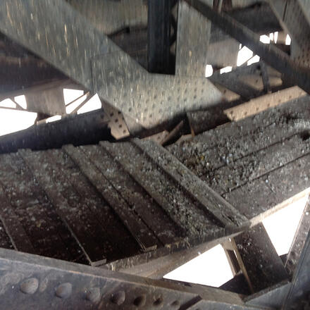 Pigeon Guano Removal