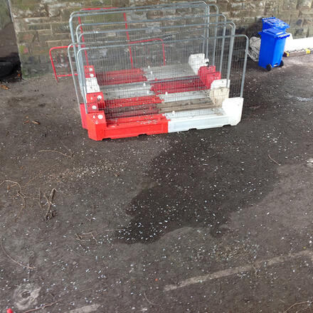 Pigeon Guano Removal