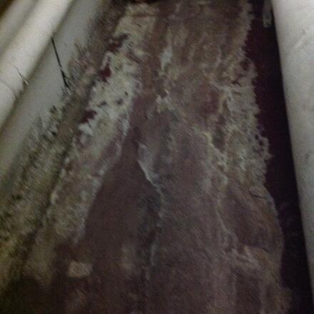 Environmental Clean & Encapsulation
