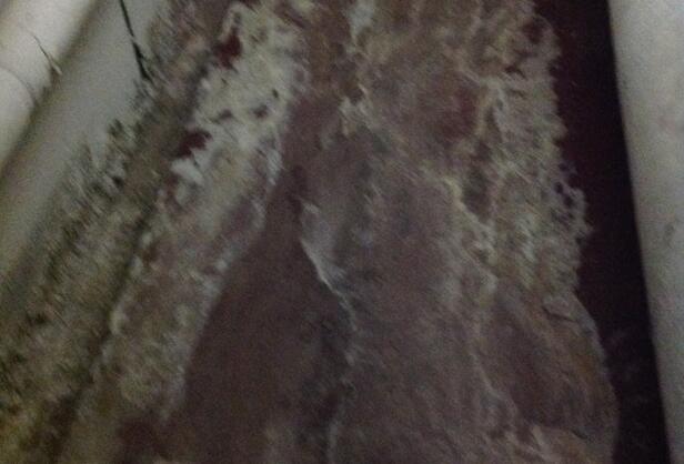 Environmental Clean & Encapsulation