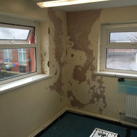 Damp and Mold Removal