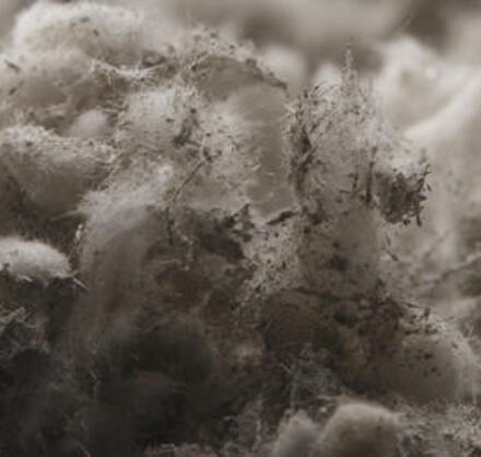 Asbestos Insulation Removal
