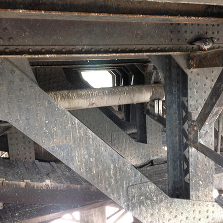 Pigeon Guano Removal