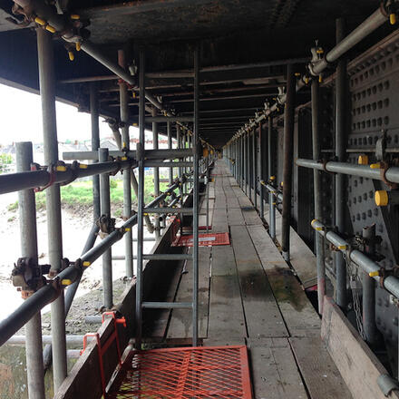 Pigeon Guano Removal