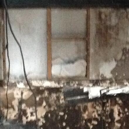 Fire Damage